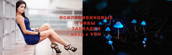 соль ск Новозыбков