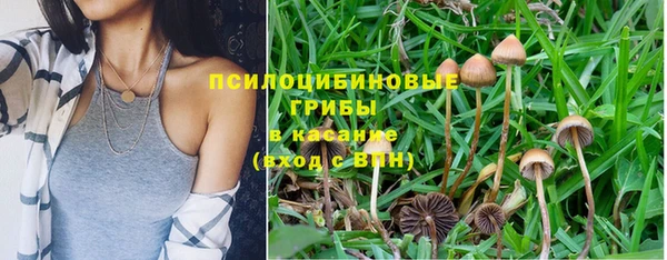 а пвп мука Алзамай