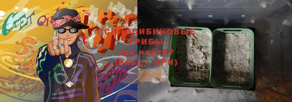 дживик Новодвинск